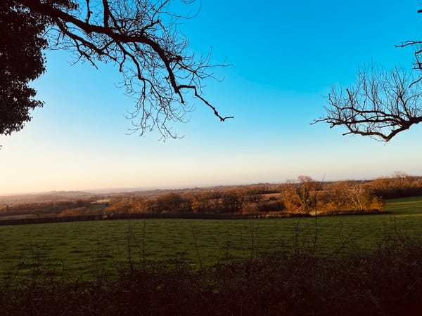 My End-of-Year Ritual